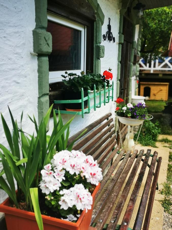 Vila Pernikova Chalupka Bojnice Exteriér fotografie